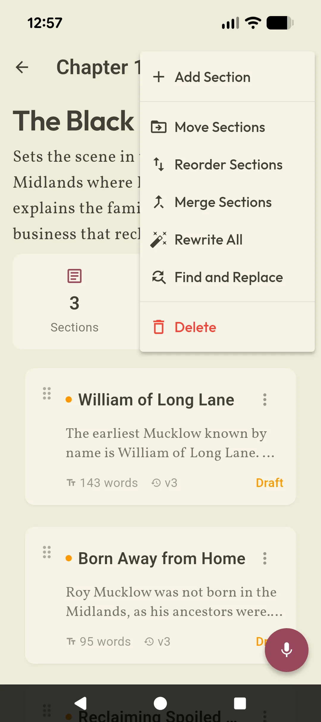 YourBook app editing interface with section management options